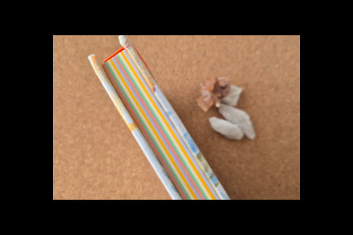 Libreta clásica mediana Hojas de colores / Animalitos