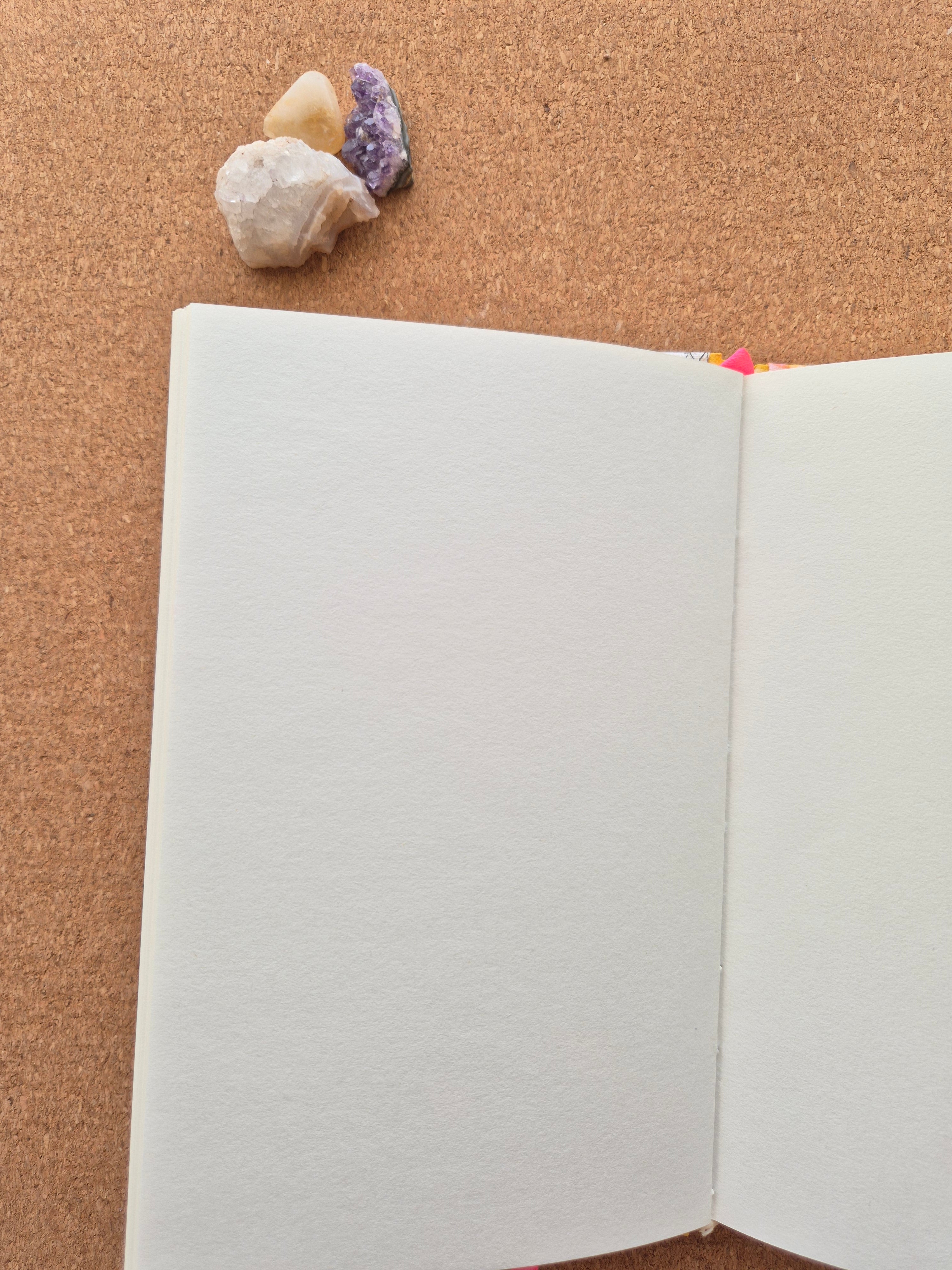 Libreta clásica mediana / Piñas