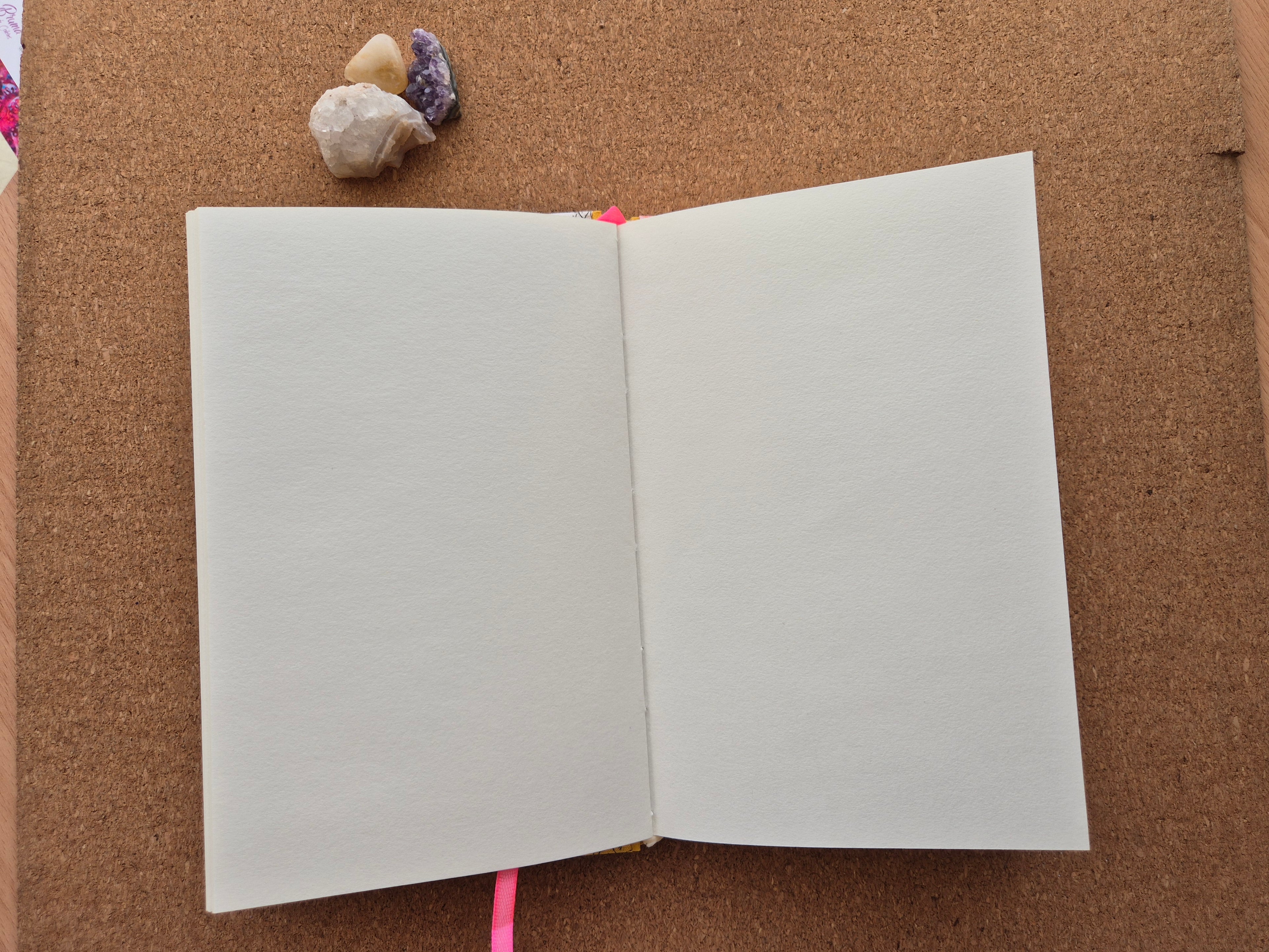 Libreta clásica mediana / Piñas