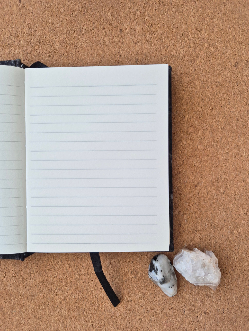 Libreta clásica pequeña / Negro ramitas