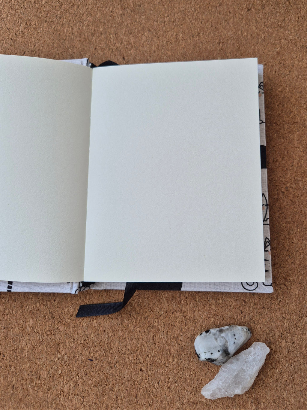 Libreta clásica pequeña / Gatitos blanco y negro