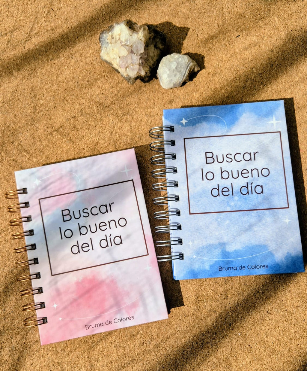Buscar lo bueno del día / Anillado